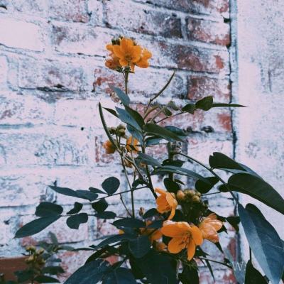 cq9电子游戏appapp下载